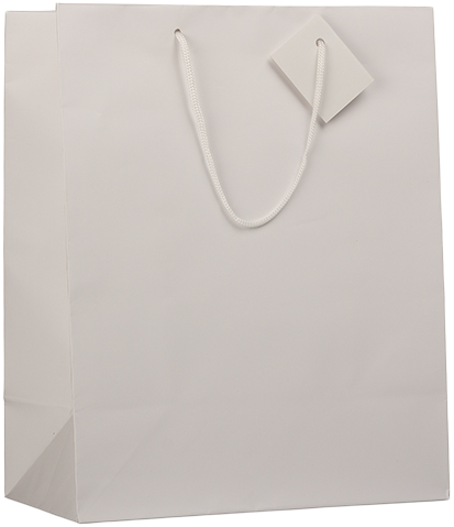 White Large Matte Gift Bags (10 x 13 x 5)