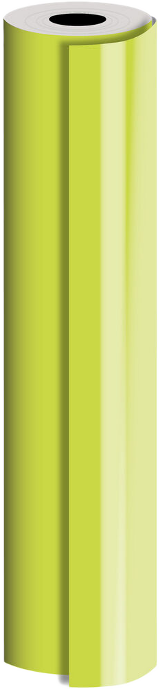 Lime Green Matte Bulk Wrapping Paper (2082.5 Sq Ft)
