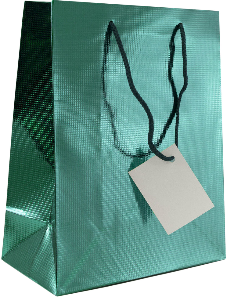 Teal Foil Medium Checkered Gift Bags (8 x 10 x 4)