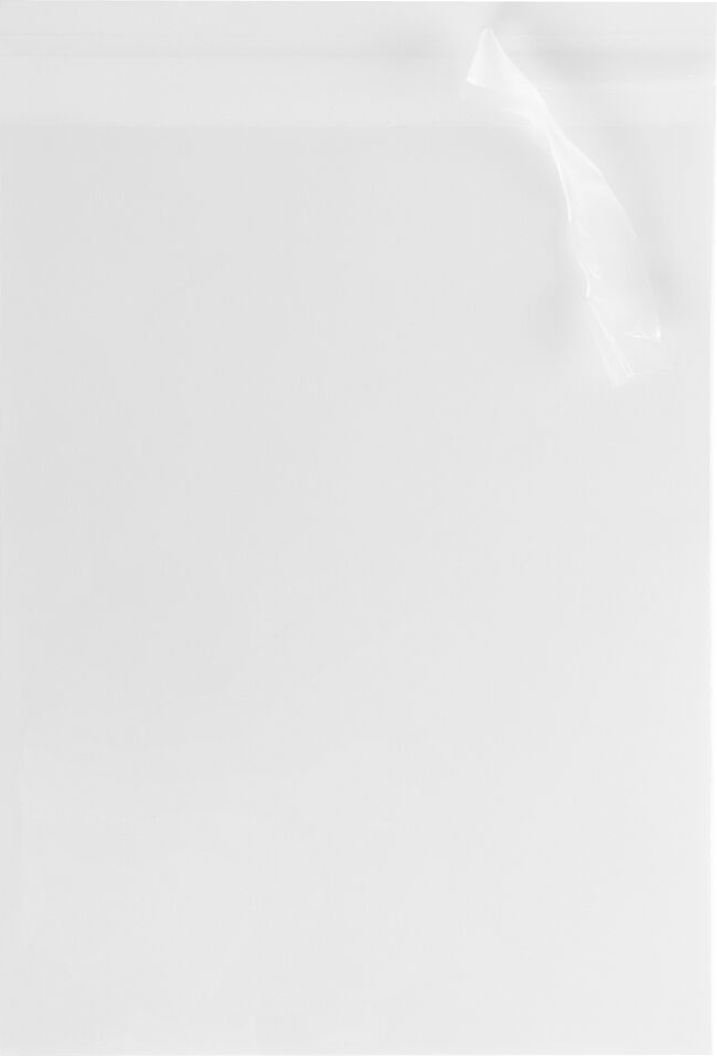 Clear 1.6mil 11 1/4 x 14 1/4 Cello Envelopes with Peel & Seal