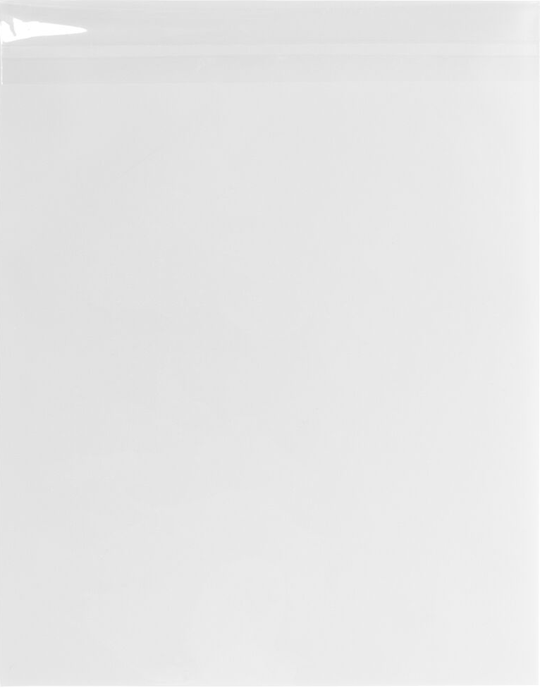 Clear 1.6mil 11 1/4 x 14 1/4 Cello Envelopes with Peel & Seal
