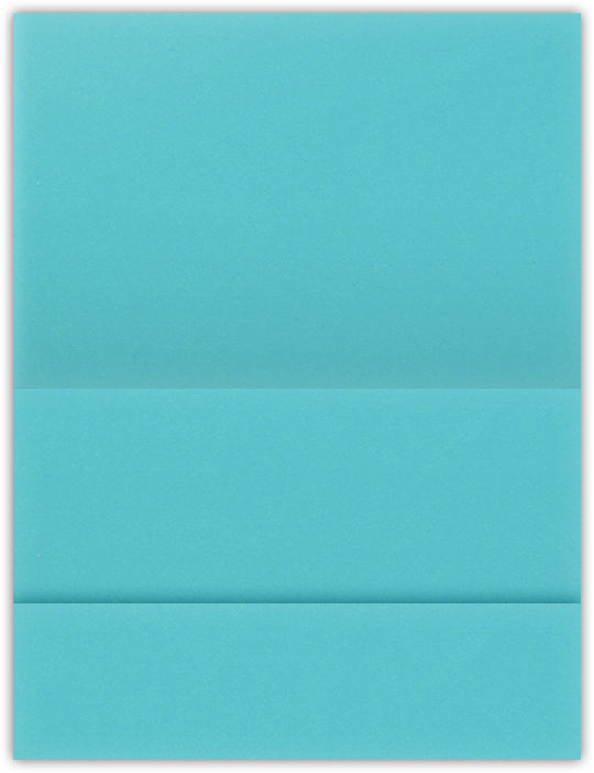 Blue Raspberry Vellum 100lb 5 1/8 x 3 3/8 One Pocket Landscape Photo Holders with 1 3/8 Inch Pocket