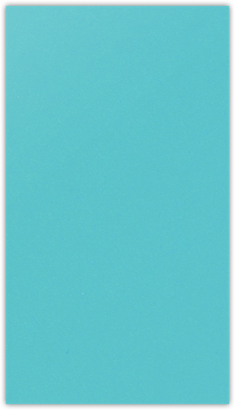 Blue Raspberry Vellum 100lb 3 3/8 x 6 One Pocket Key Card Holders with 2 1/2 Inch Pocket