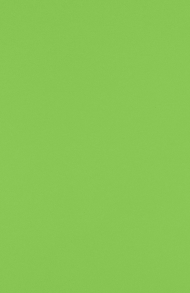 Limelight Green 100lb 11 x 17 Cardstock