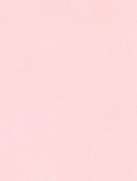 Baby Candy Pink 100lb 11 x 17 Cardstock