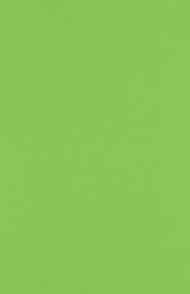 Limelight Green 32lb 11 x 17 Paper