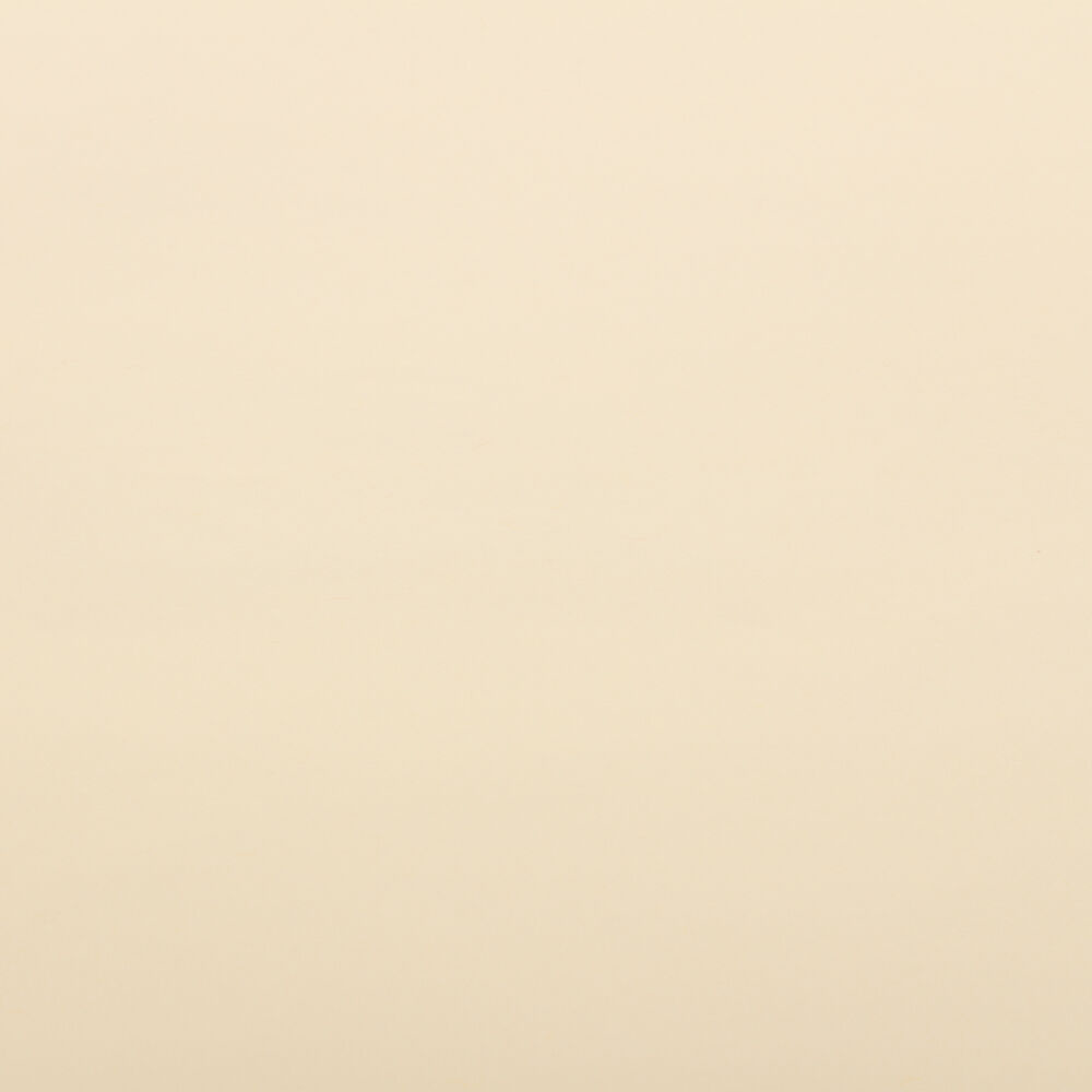 Ivory Tissue Paper (20 x 26) - 480 Sheets