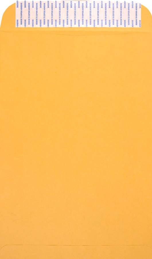 Brown Kraft 28lb 12 1/2 x 18 1/2 Open End Envelopes with Peel & Seal