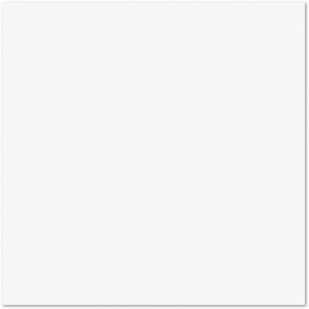 Bright White 28lb Cougar 12 x 12 Premium Paper