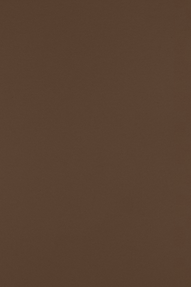 Chocolate Brown 100lb 12 x 18 Cardstock
