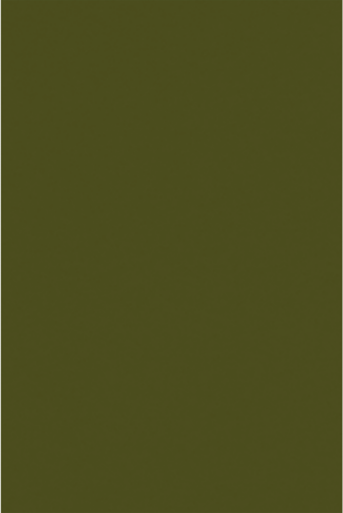 Dark Green Olive 28lb 12 x 18 Paper