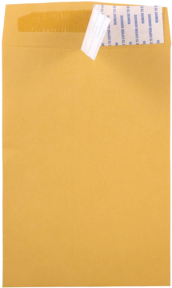 Brown Kraft 28lb 6 x 9 Open End Envelopes with Peel & Seal