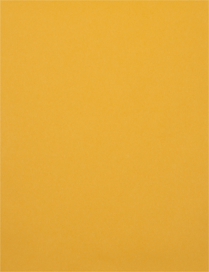 Brown Kraft 28lb 10 x 13 Open End Envelopes with Peel & Seal