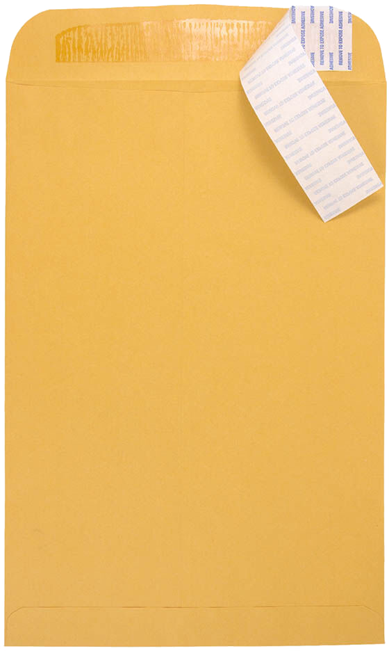 Brown Kraft 28lb 10 x 15 Open End Envelopes with Peel & Seal