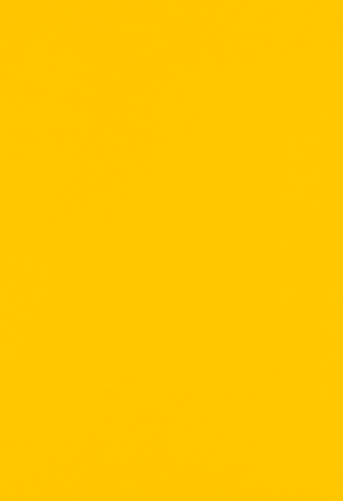 Sunflower Yellow 100lb 13 x 19 Cardstock