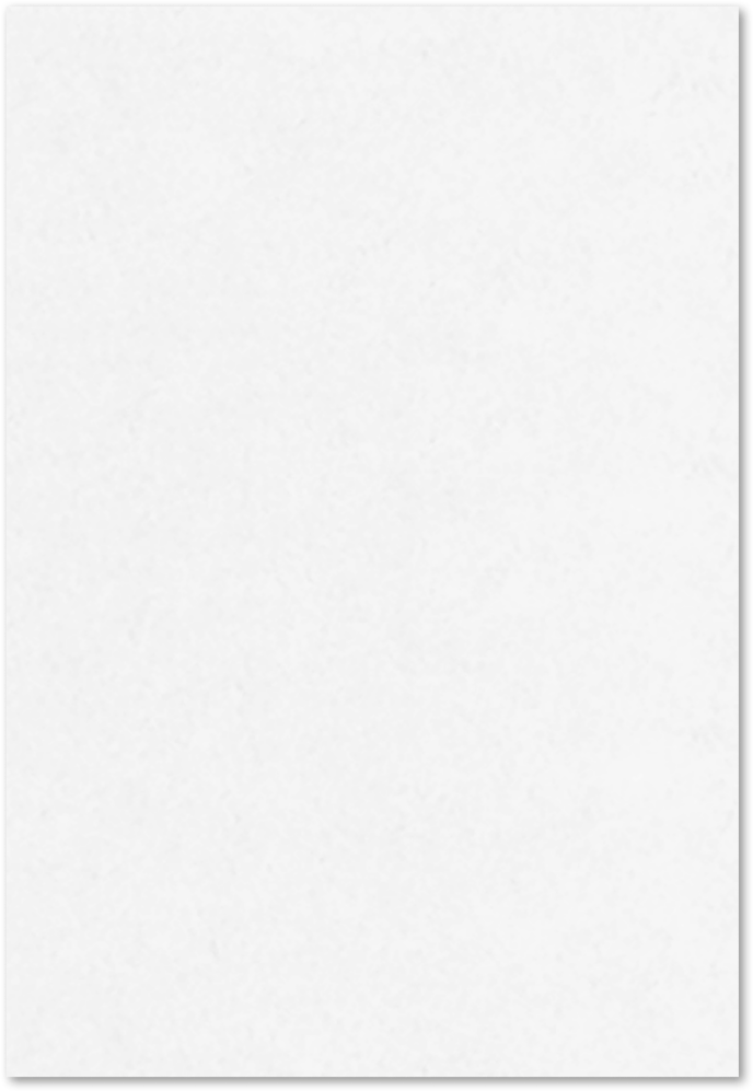 White 120lb 13 x 19 Cardstock