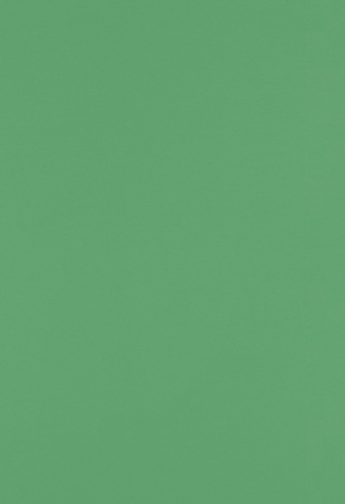 Holiday Green 100lb 13 x 19 Cardstock