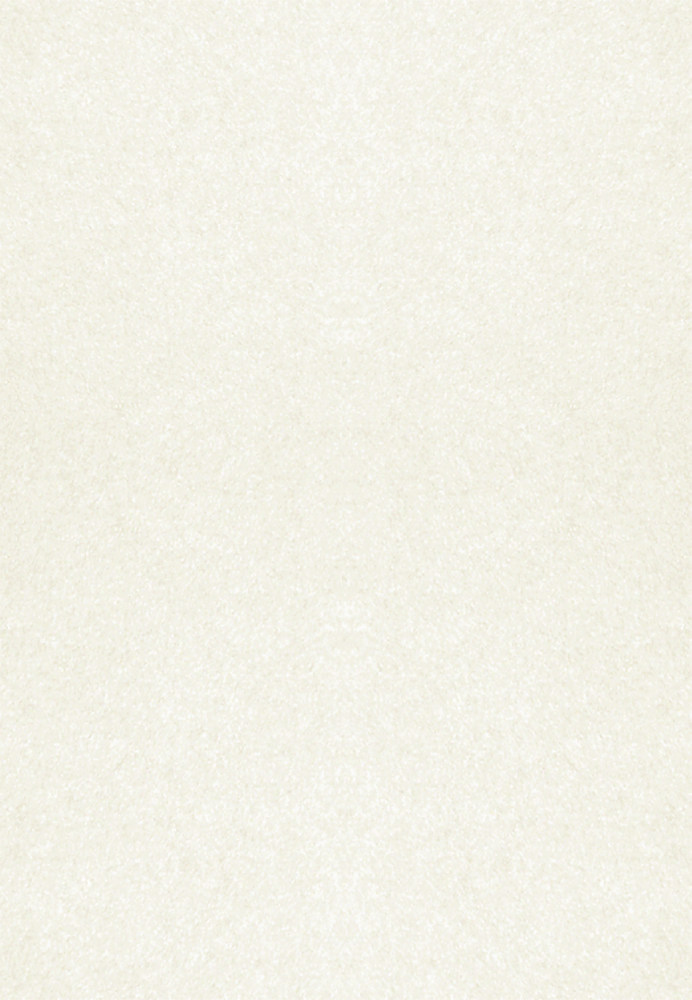 White Quartz Metallic 105lb 13 x 19 Cardstock