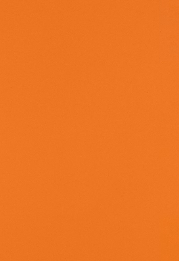 Mandarin Orange 32lb 13 x 19 Paper