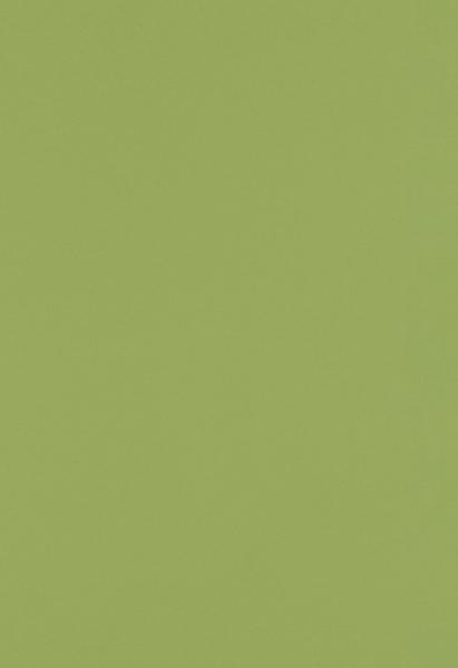 Olive Green 28lb 13 x 19 Paper