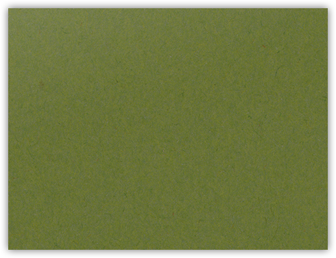 Jellybean Green Vellum 100lb 2 3/4 x 3 3/4 One Pocket Key Card Holders with 2 1/4 Inch Pocket