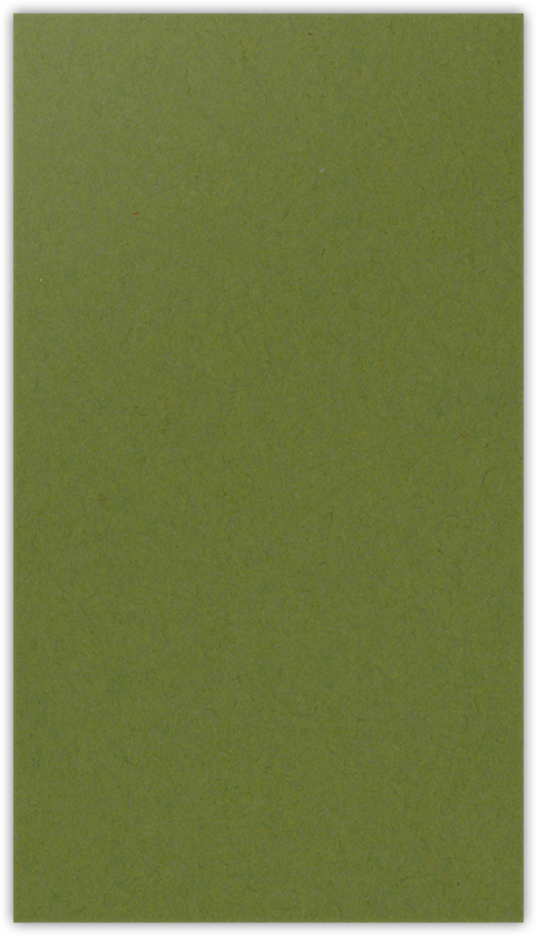 Jellybean Green Vellum 100lb 3 3/8 x 6 One Pocket Key Card Holders with 2 1/2 Inch Pocket