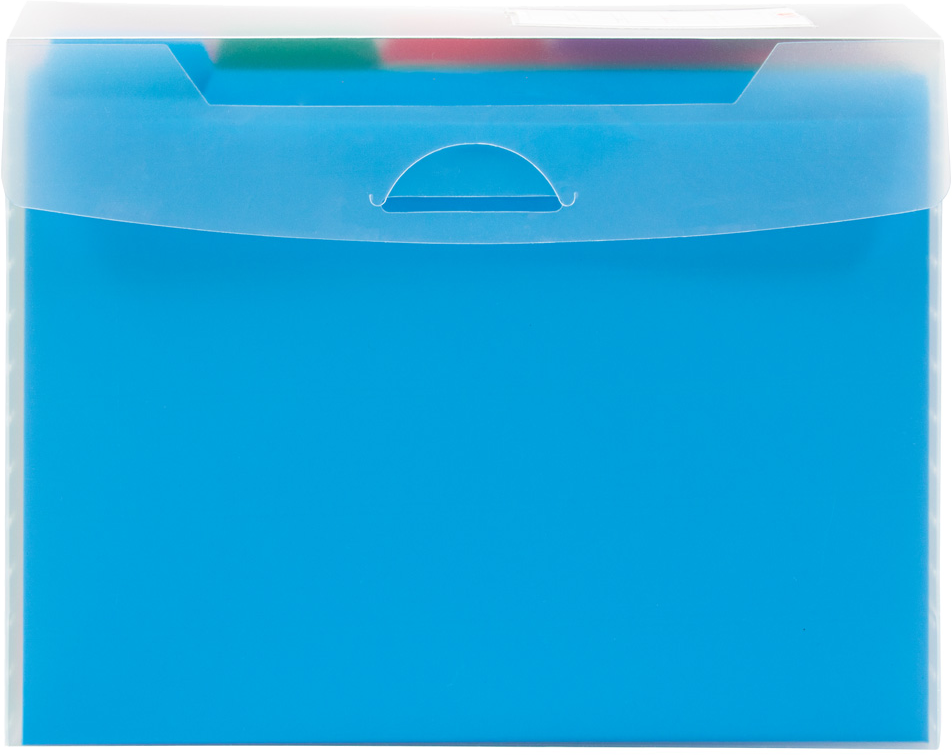 Clear Storage Box with 5 Assorted Files