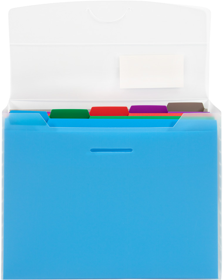 Clear Storage Box with 5 Assorted Files