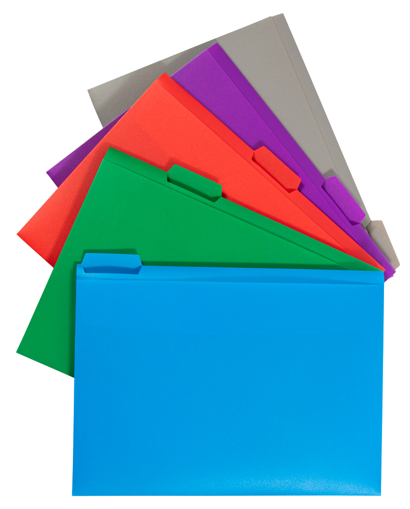 Clear Storage Box with 5 Assorted Files