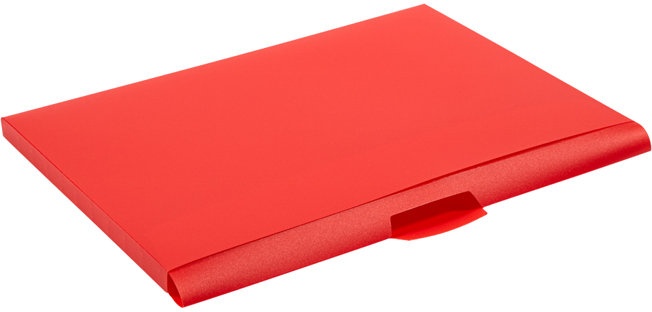 Clear Storage Box with 5 Assorted Files