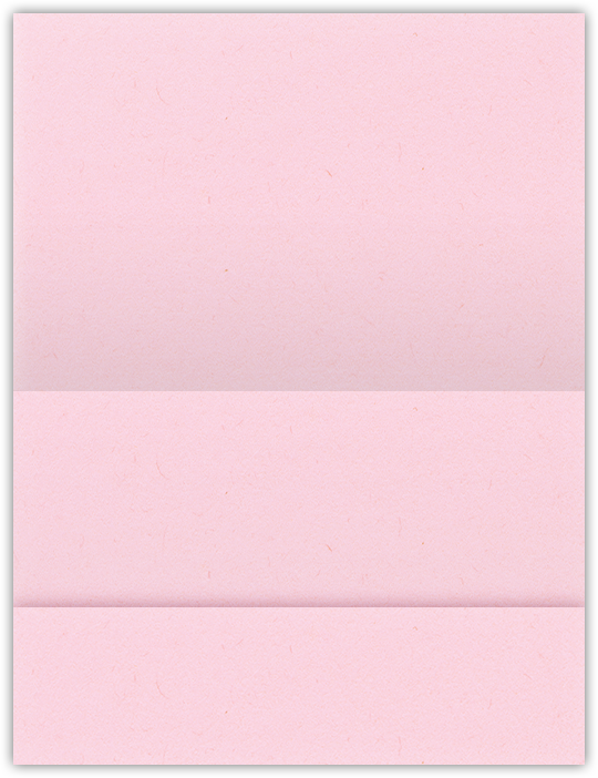 Pink Lemonade Vellum 100lb 5 1/8 x 3 3/8 One Pocket Landscape Photo Holders with 1 3/8 Inch Pocket