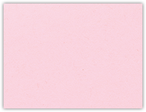 Pink Lemonade Vellum 100lb 2 3/4 x 3 3/4 One Pocket Key Card Holders with 2 1/4 Inch Pocket