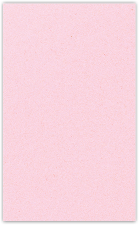 Pink Lemonade Vellum 100lb 2 3/4 x 4 1/2 One Curved Pocket Key Card Holders with 3 Inch Pocket