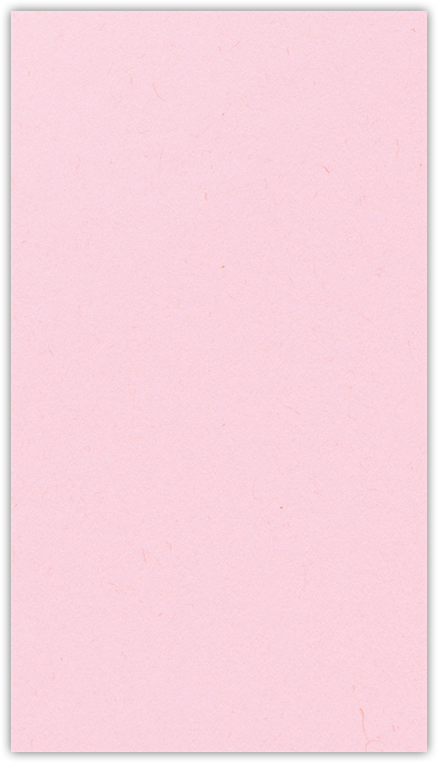 Pink Lemonade Vellum 100lb 3 3/8 x 6 One Pocket Key Card Holders with 2 1/2 Inch Pocket