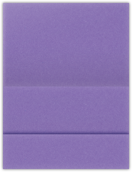 Grape Jelly Vellum 100lb 5 1/8 x 3 3/8 One Pocket Landscape Photo Holders with 1 3/8 Inch Pocket