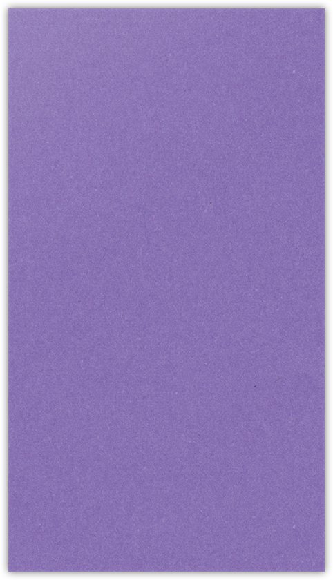 Grape Jelly Vellum 100lb 3 3/8 x 6 One Pocket Key Card Holders with 2 1/2 Inch Pocket