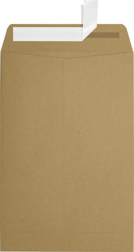 Grocery Bag 28lb 6 x 9 Open End Envelopes with Peel & Seal