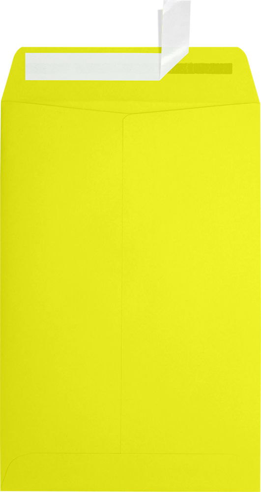 Citrus Yellow 32lb 6 x 9 Open End Envelopes with Peel & Seal
