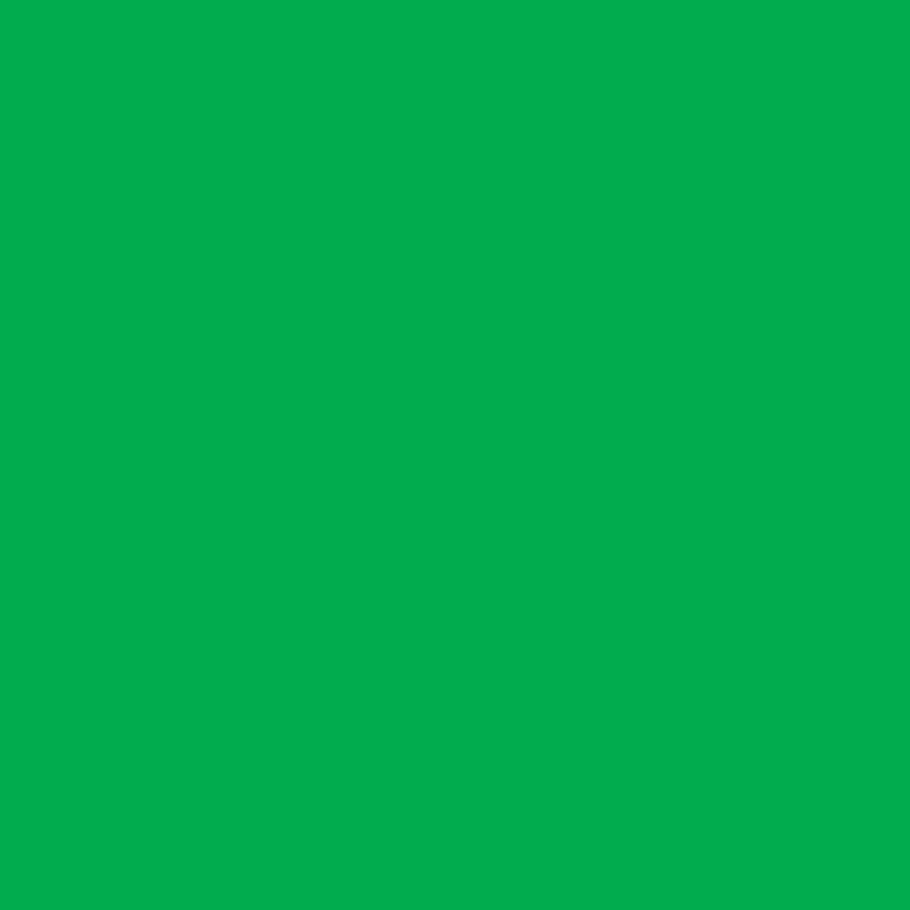 Green Matte Bulk Wrapping Paper (834 Sq Ft)