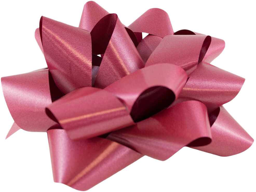 Burgundy Red 7 Inch Large Gift Bows