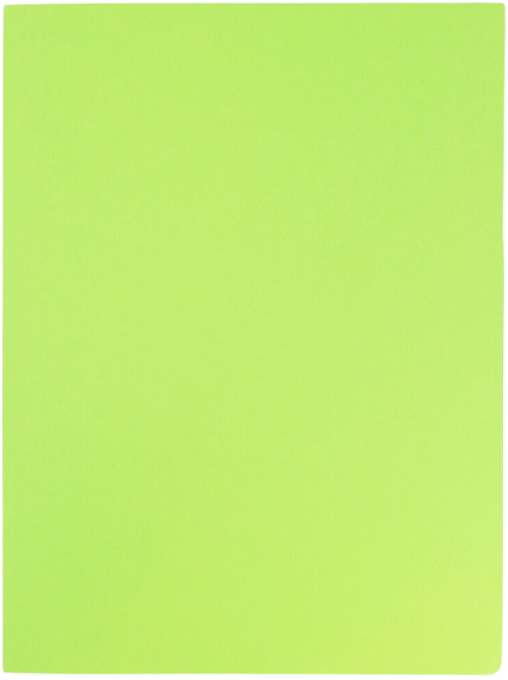 Lime Green 9 x 12 Matte Folders