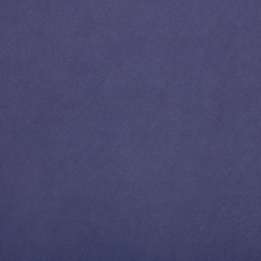 Presidential Blue Wrapping Paper (25 Sq Ft)