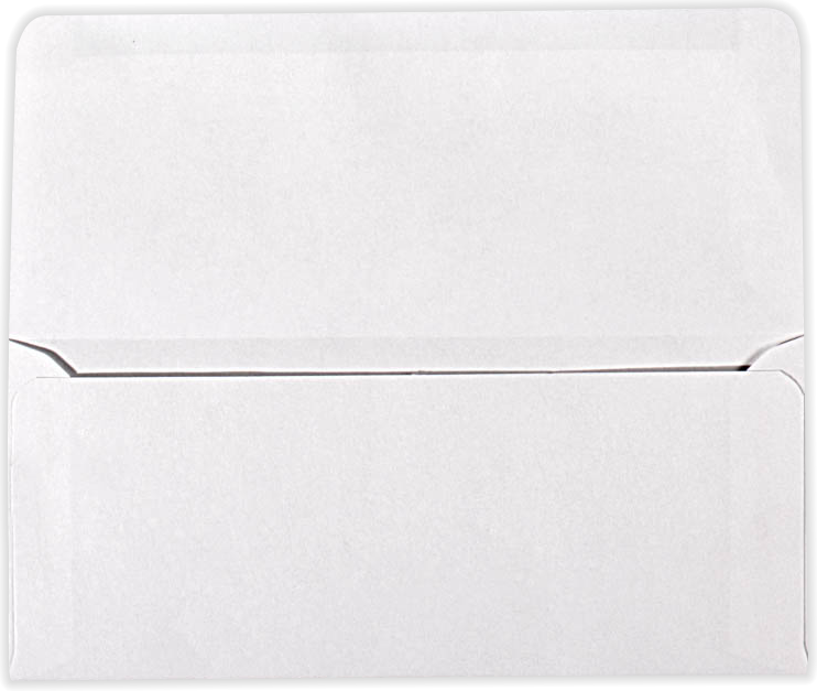 White 24lb Remittance Envelopes (3 7/8 x 8 7/8 Closed)