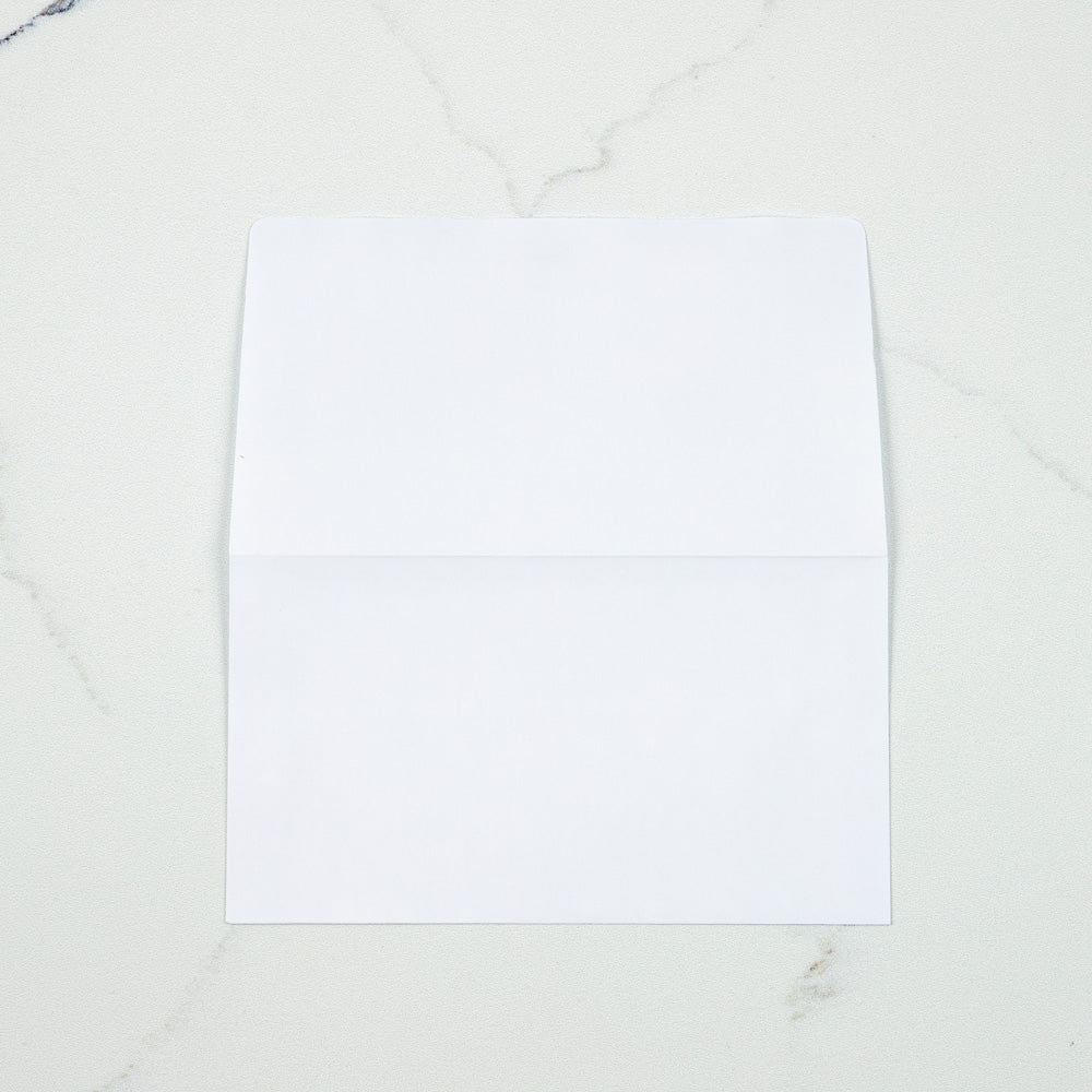 White 24lb Remittance Envelopes (3 5/8 x 6 1/2 Closed)