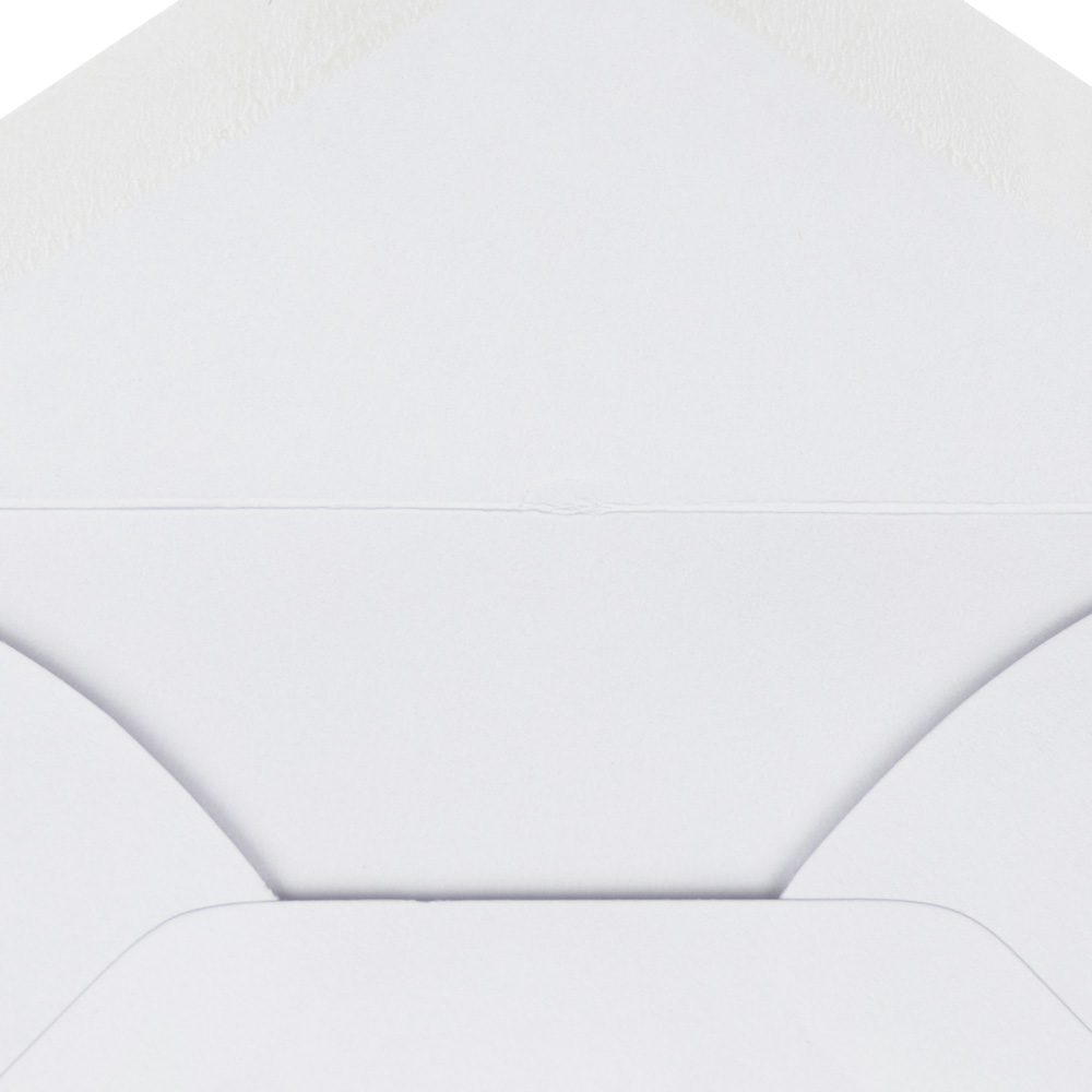 White 24lb #63 2Pay Envelopes (2 1/2 x 4 1/4)