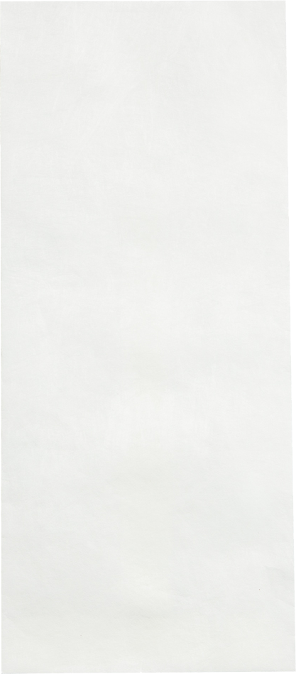 White Tyvek 14lb #14 Regular Envelopes (5 x 11 1/2)