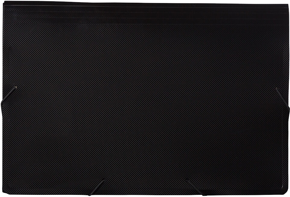 Black Legal Size 13 Pocket Expanding Files (10 x 15)