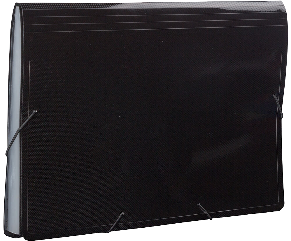 Black Legal Size 13 Pocket Expanding Files (10 x 15)