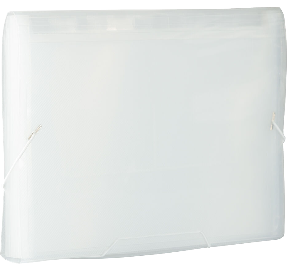 Clear Letter Size 13 Pocket Expanding Files (9 x 13)