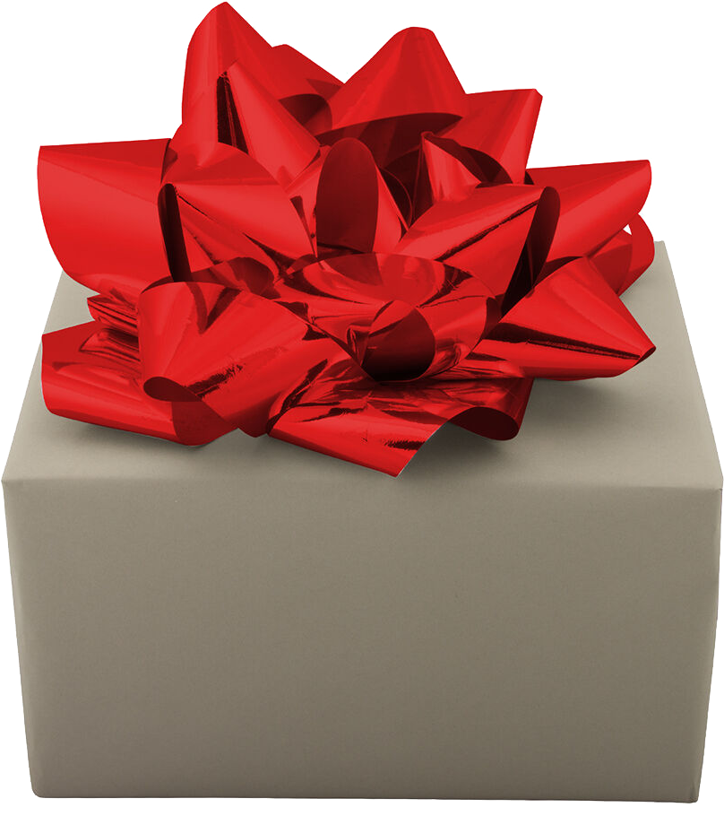 Red 13 Inch Mega Gift Bows
